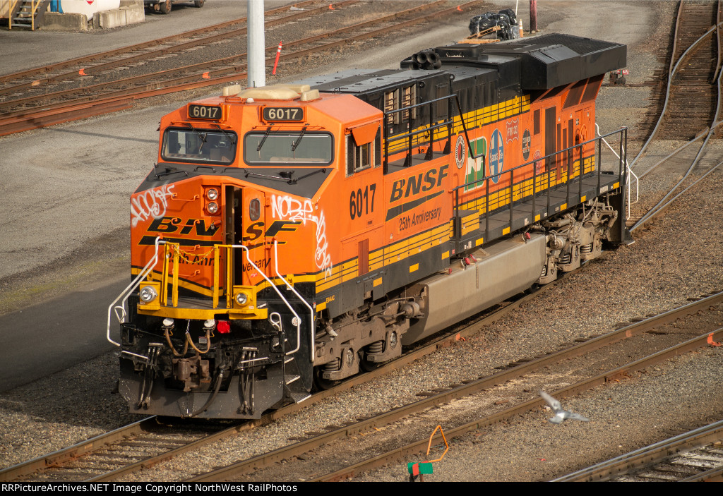 BNSF 6017